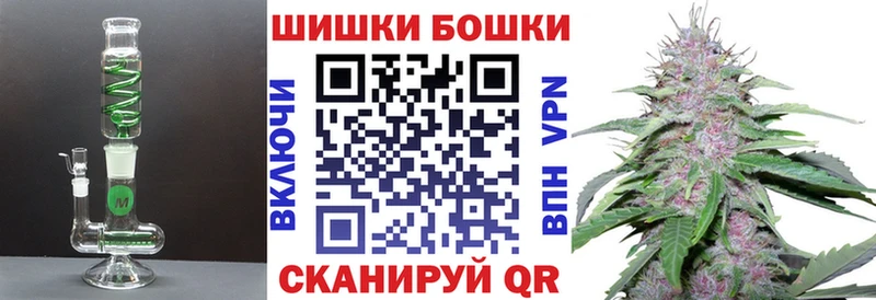 ГАШ Семилуки