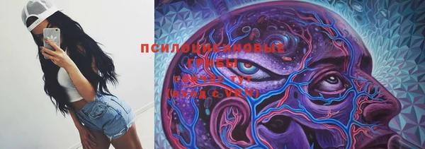 гидропоника Балабаново